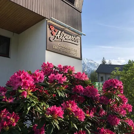 Хостел Alpenrose