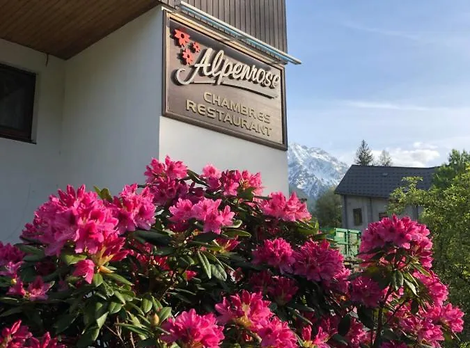旅馆 Alpenrose