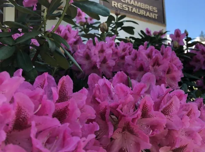 Vandrarhem Alpenrose