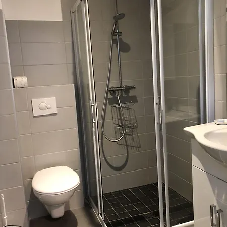 Alpenrose * 霞慕尼