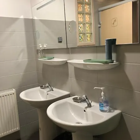 Alpenrose * 霞慕尼