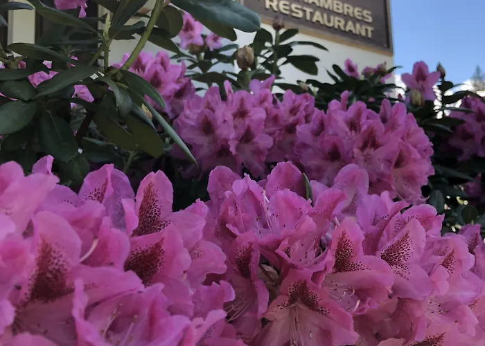 Хостел Alpenrose