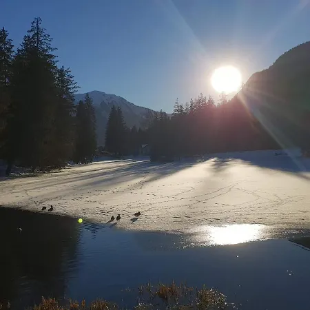 Alpenrose 2*